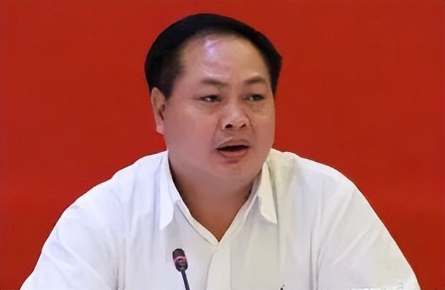 薛凤冠判了吗,薛凤冠受审图片