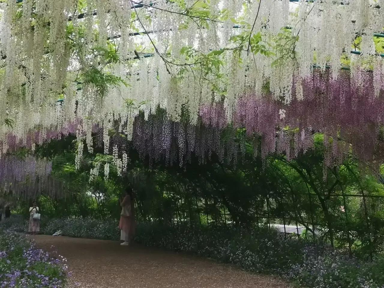 大生意靠什么小生意靠什么,生意火爆的小生意
