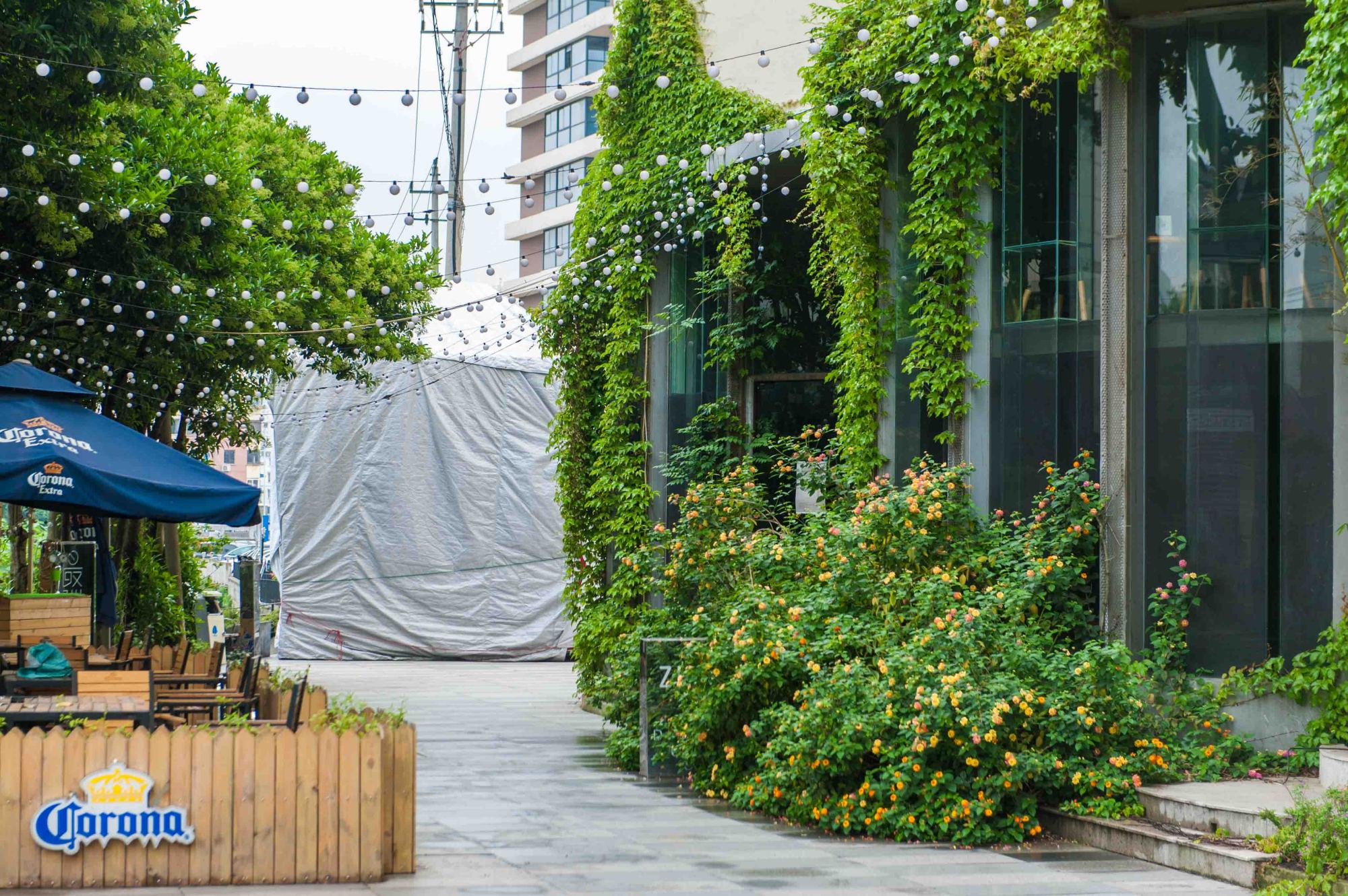 北京市798艺术中心免费吗,北京798艺术中心楼下