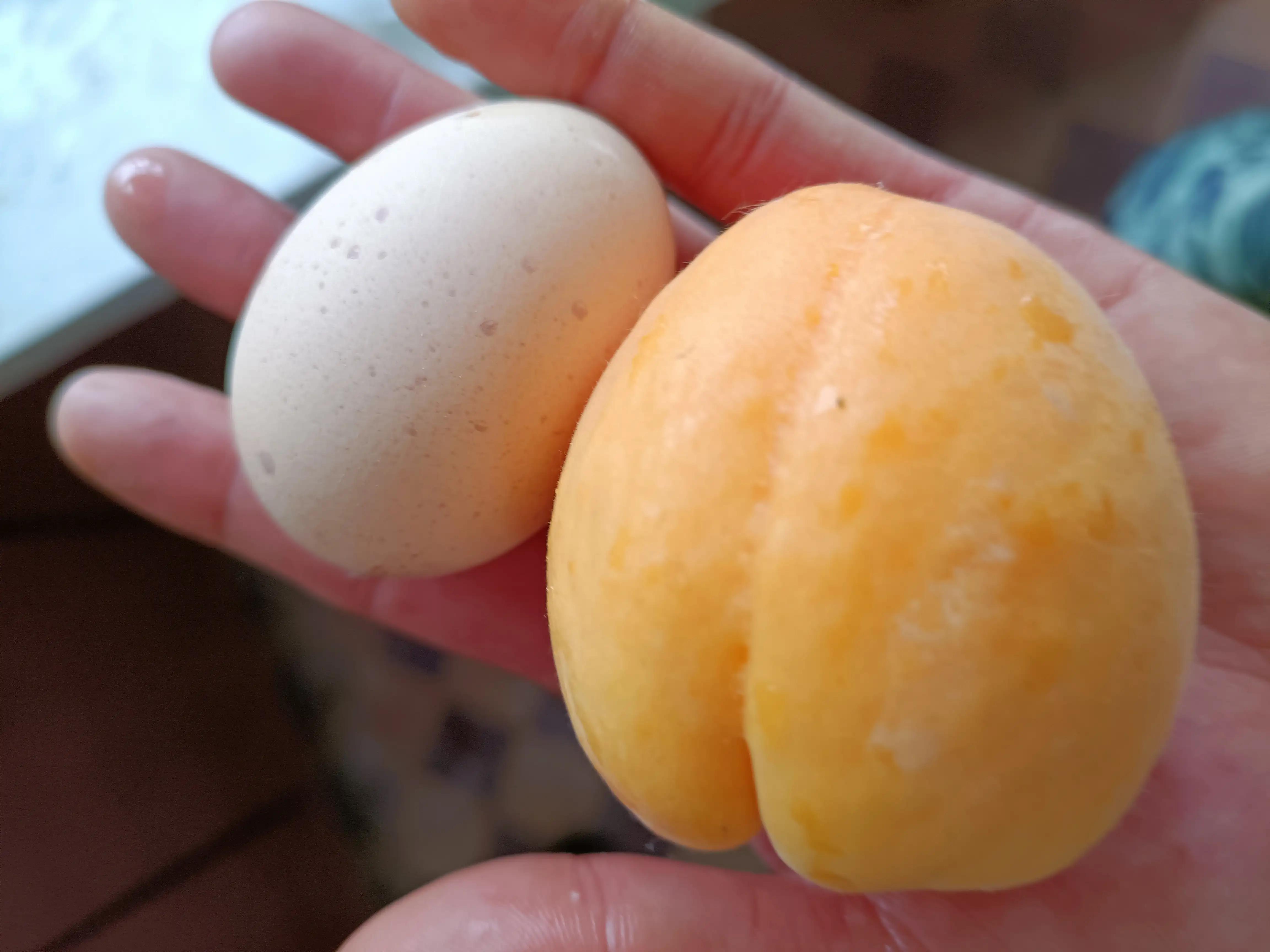 1月份水果当季,现在的当季水果