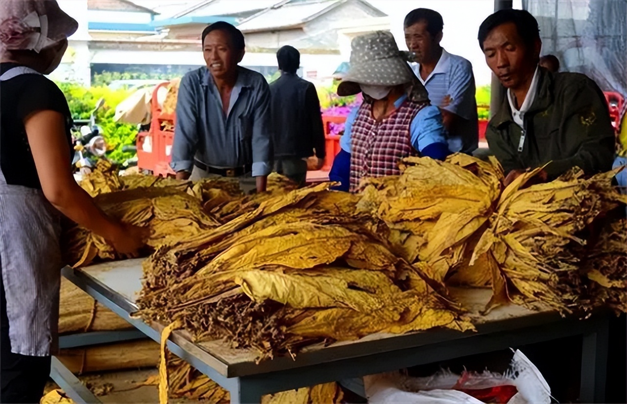 云霄烟假烟造就百亿市场,中国云霄经典假烟