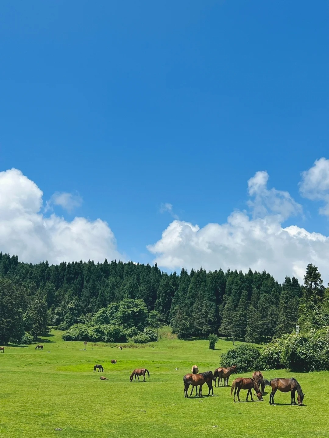 3日攻略玩转山城重庆逛吃两不误,重庆旅游攻略带你玩转重庆