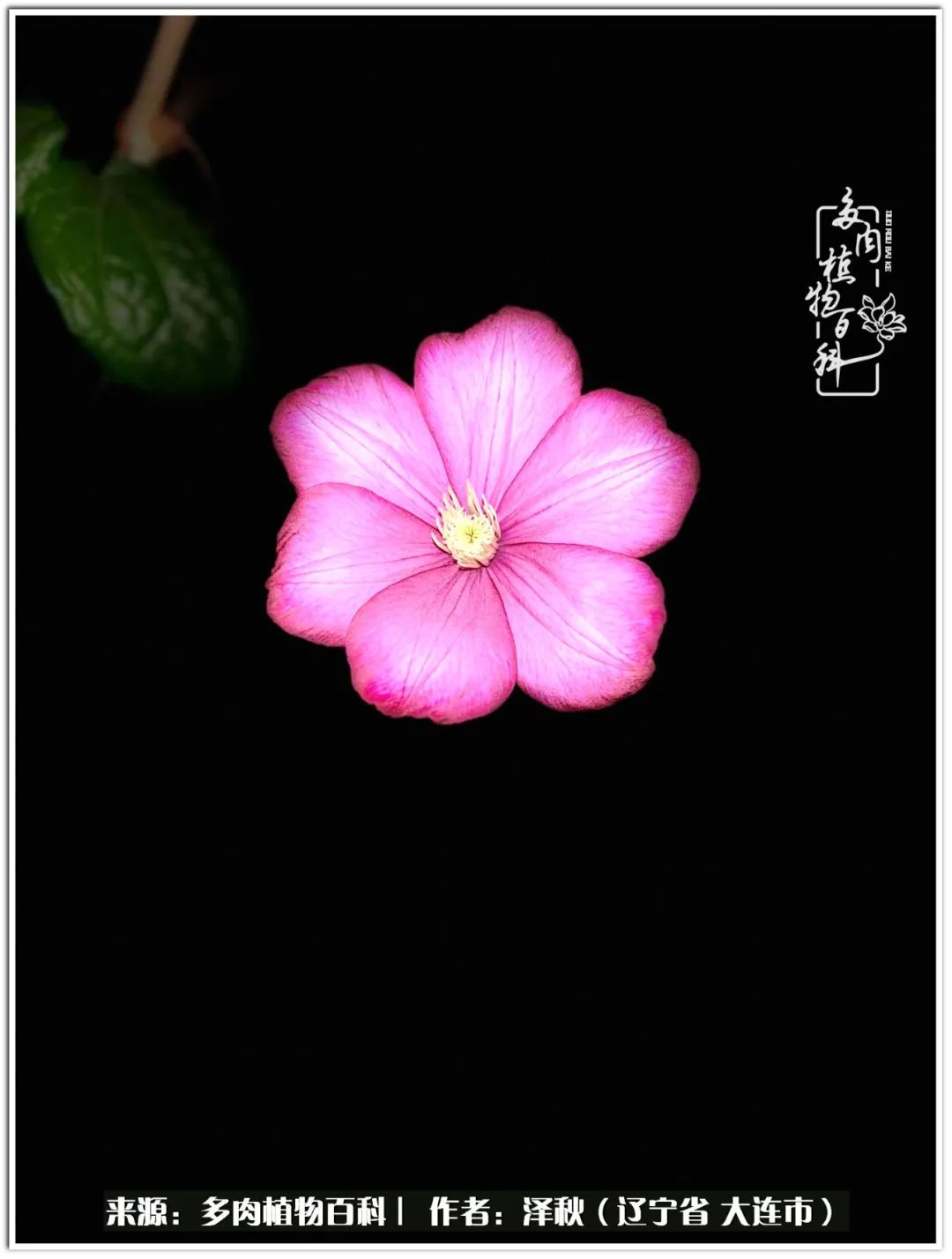 四季轮回之秋天,四季轮回之冬季