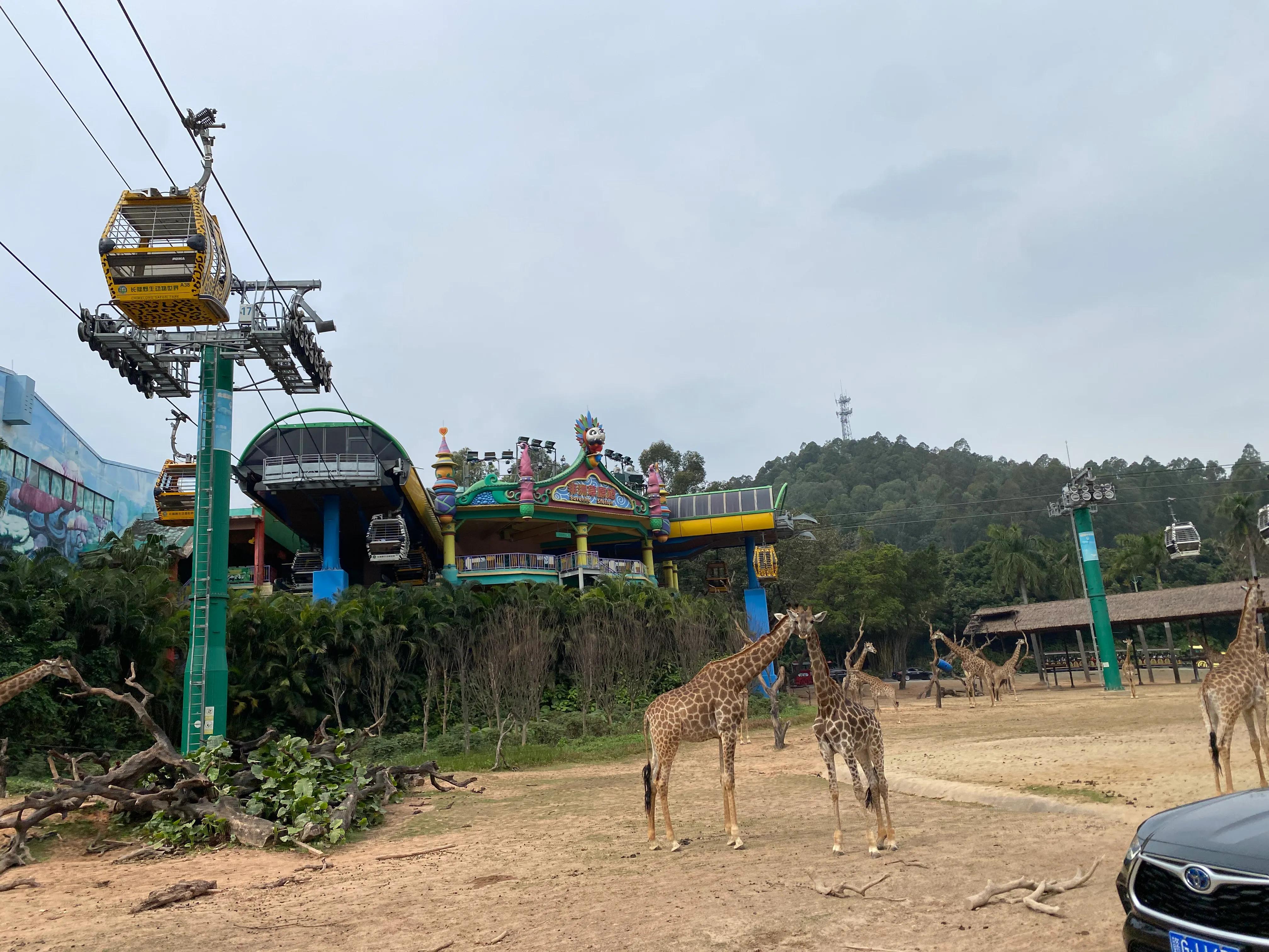 广州长隆度假区游玩攻略预算,广州长隆度假区最全游玩攻略