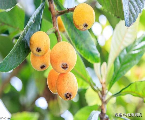 咳嗽干咳不能吃的食物,咳嗽干咳吃什么食物好得快