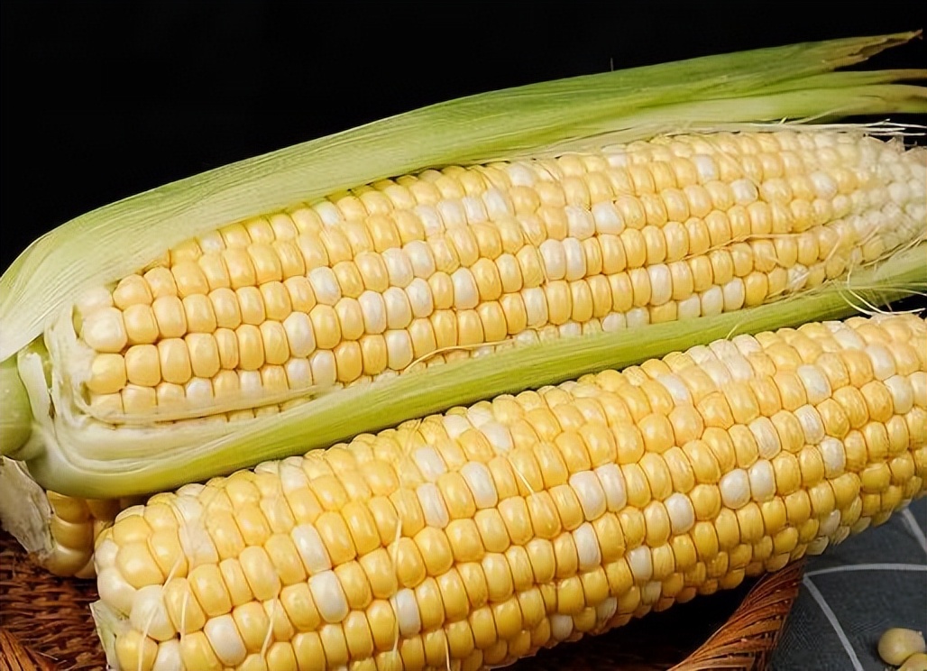 减肥最狠的四种主食玉米上榜,适合减肥吃的玉米推荐