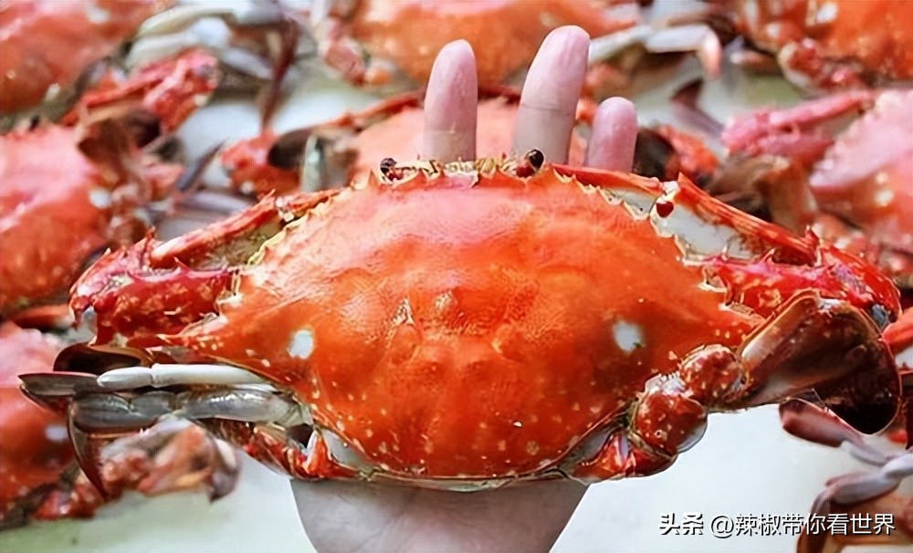 外地旅游连云港好吃的美食推荐,连云港旅游推荐美食