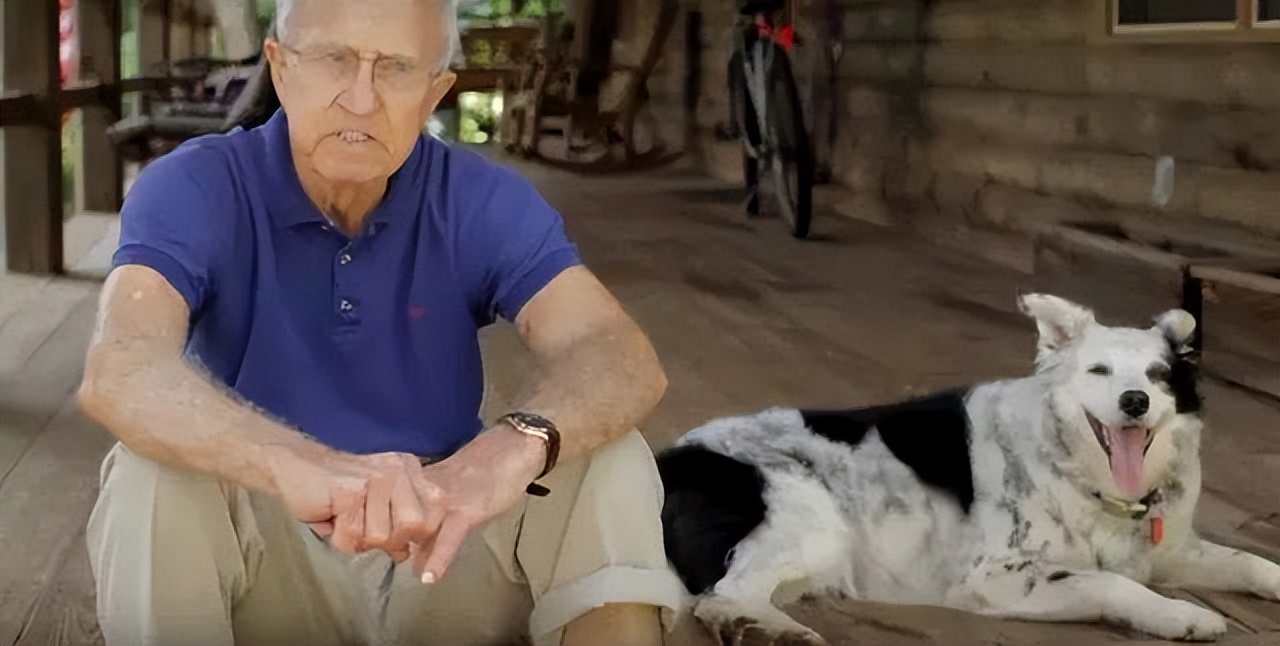 怎么教边牧用各种按钮说话,开拖拉机技术讲解