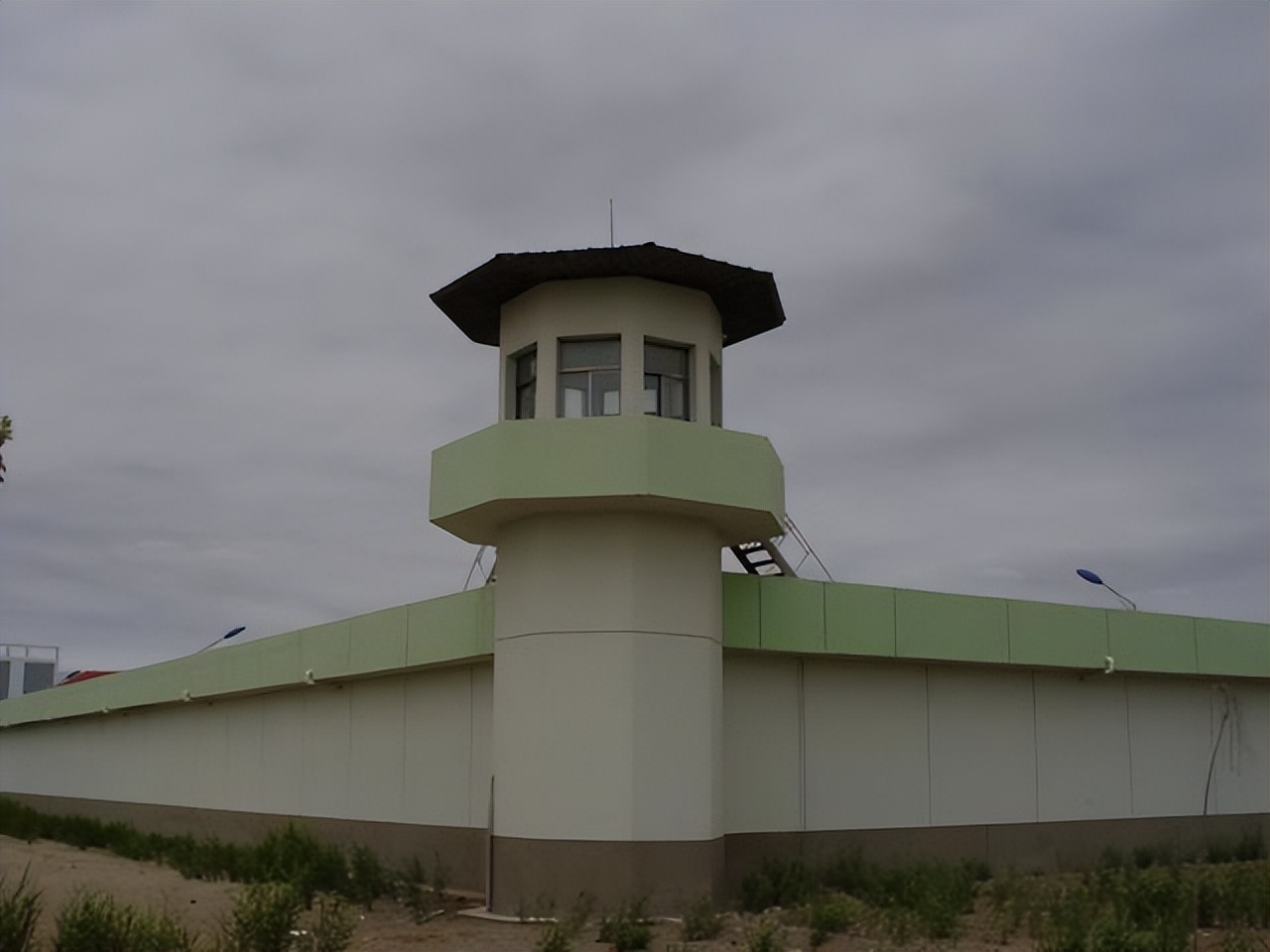 青海诺木洪枸杞今年什么时候摘,青海诺木洪枸杞采摘