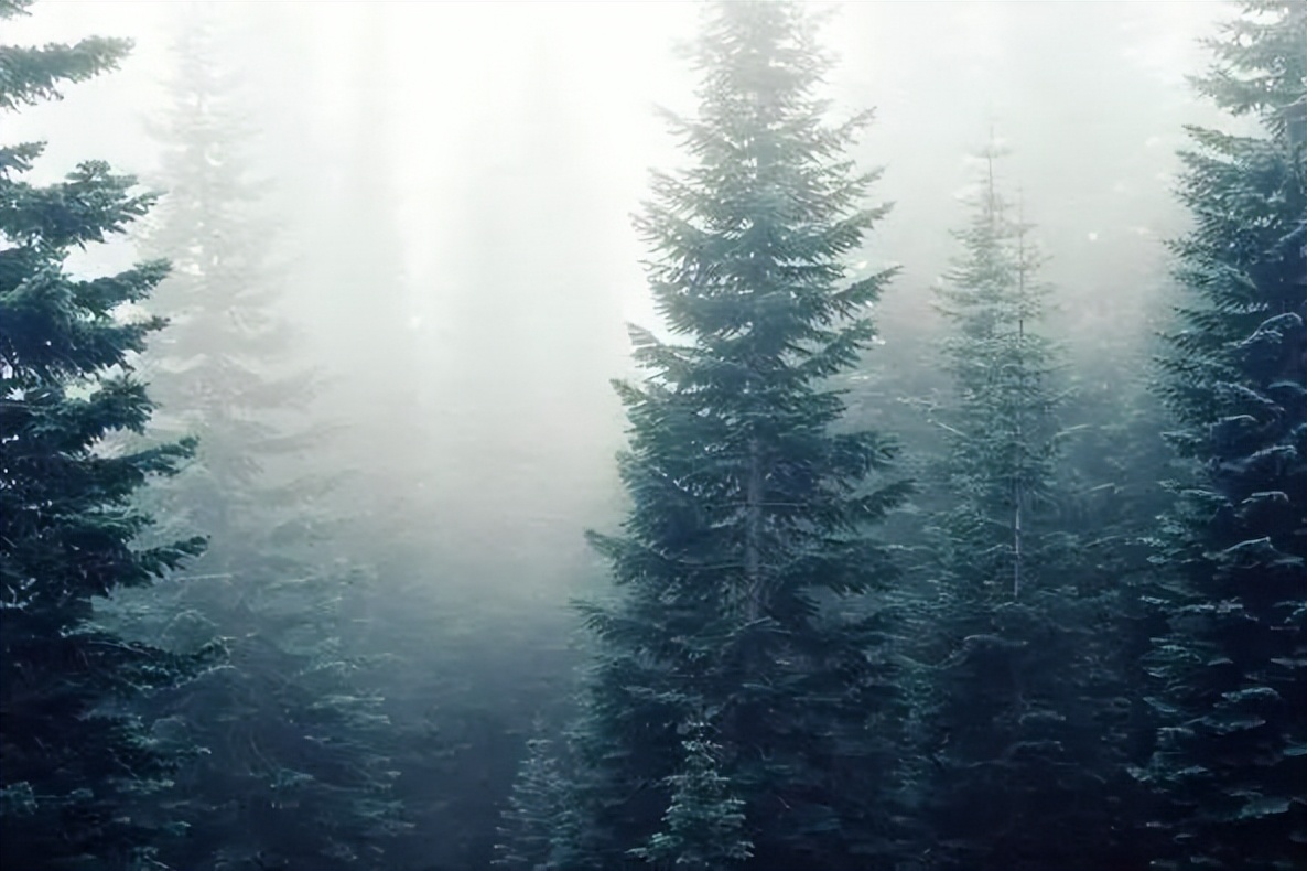 被人算计了，最聪明的做法不是翻脸，而是做好三件事