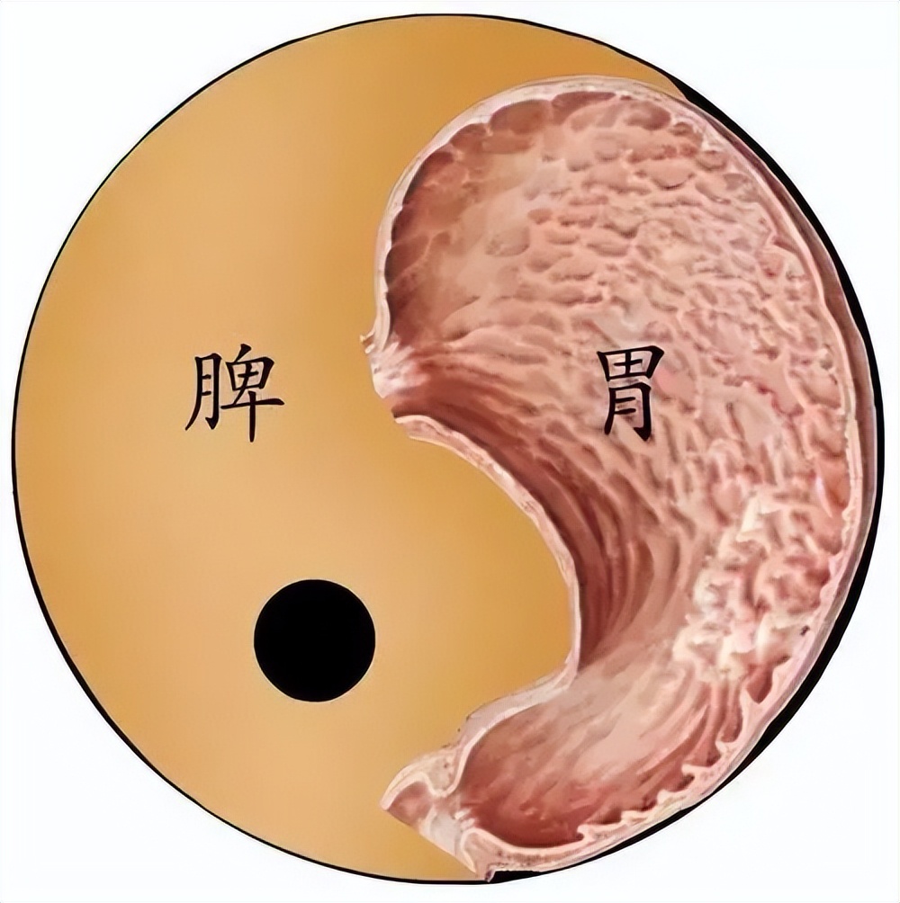 睡觉流口水是脾虚还是脾湿,睡觉流口水脾胃虚弱怎么调理