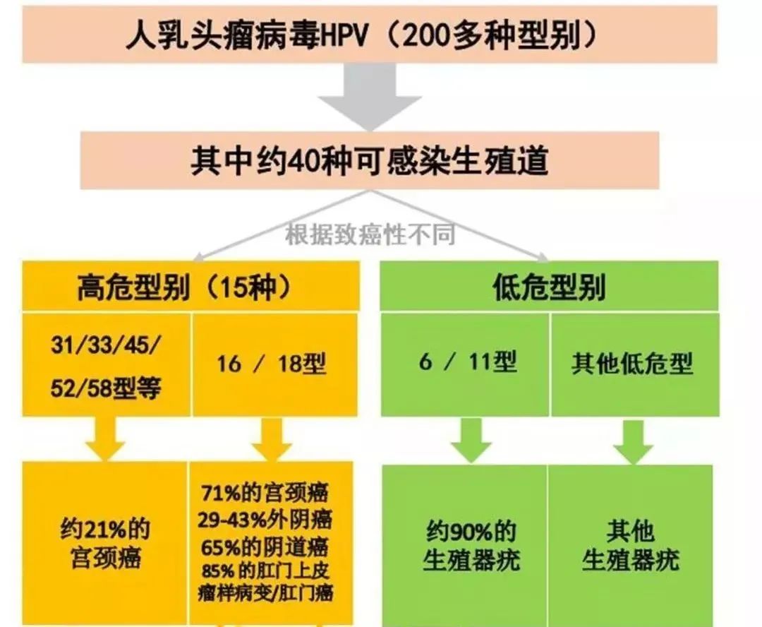 因为TA，33岁女士与宫颈癌擦肩而过！浙一妇科专家：会传染务必当心