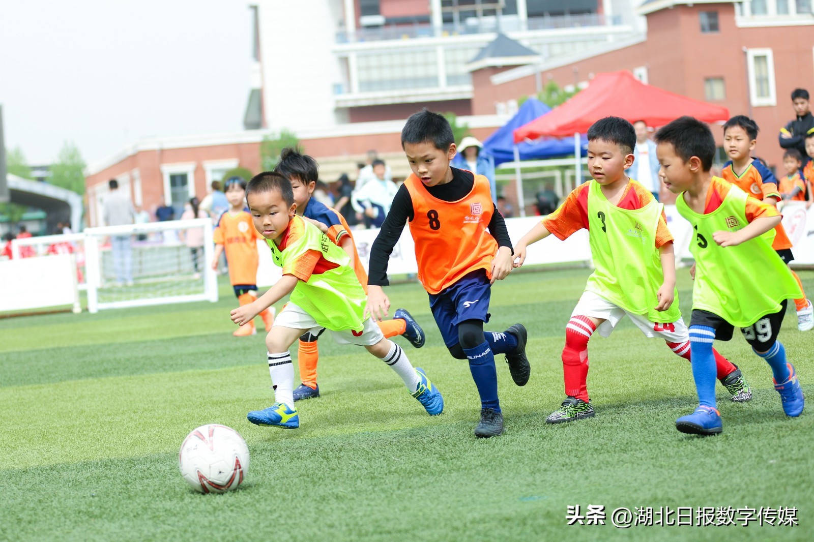 幼儿园孩子踢足球创意视频,足球比赛萌娃看台