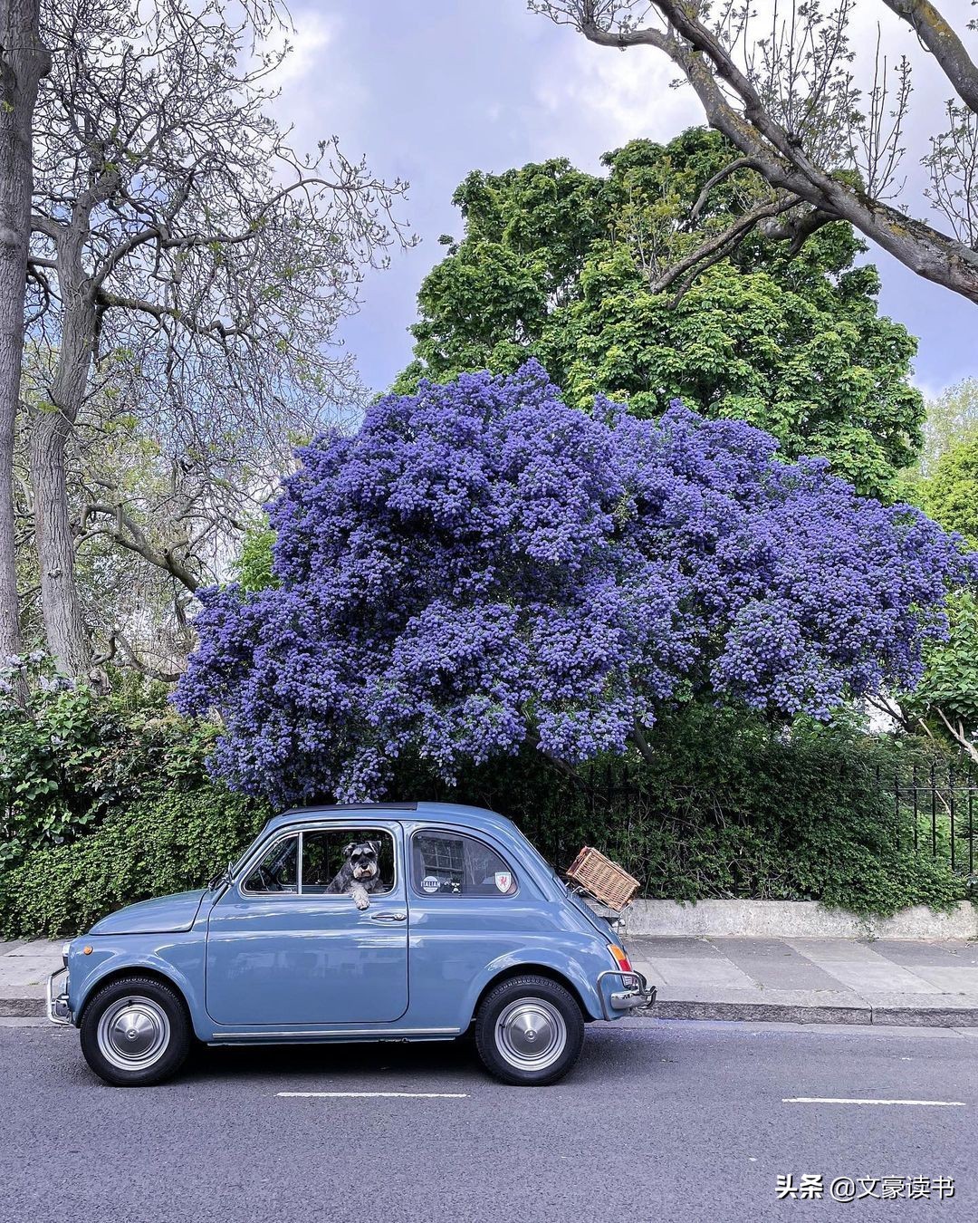 越有钱的人越不买奢侈品,给公务员一个建议远离奢侈品