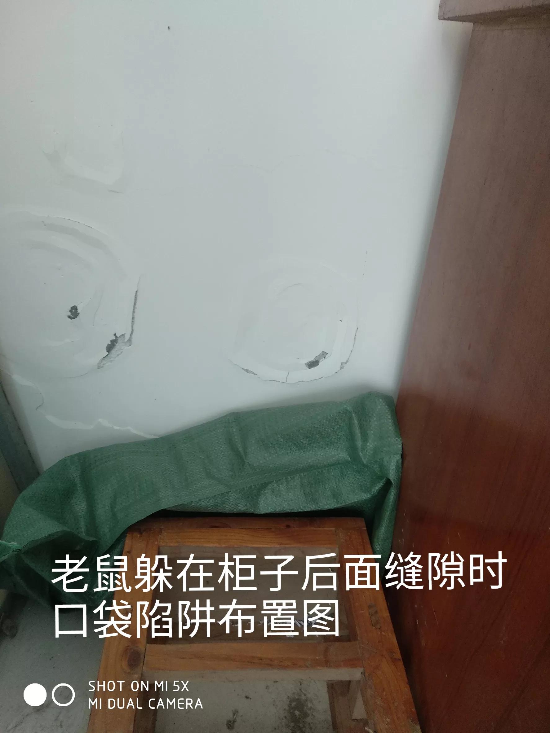 怎样才能抓到房间里躲着的老鼠,如何抓出躲在屋子里的老鼠