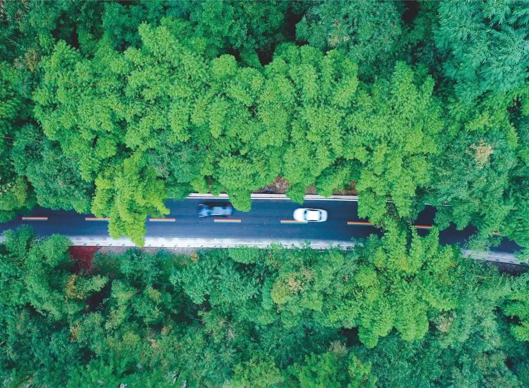 闈掔鏃呮父,鐪夊北闈掔