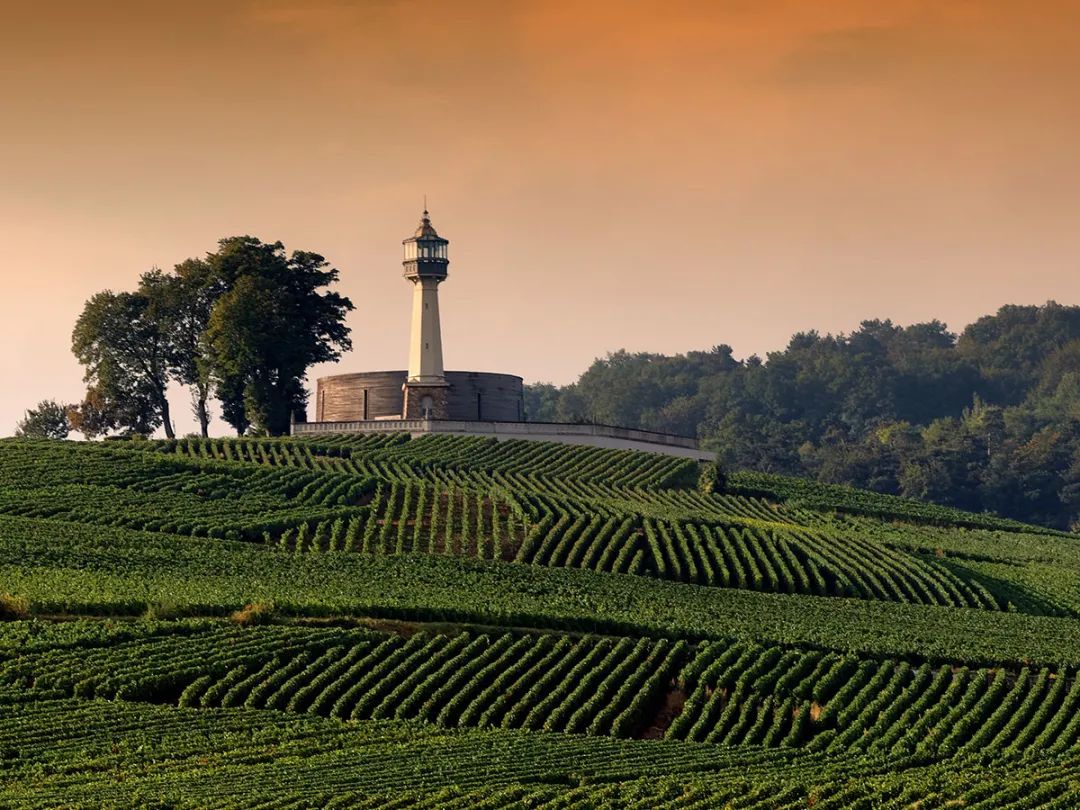 香槟葡萄园旅行,旅游香槟