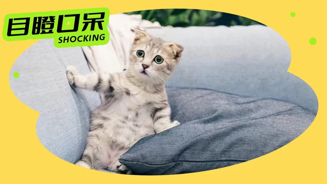 购物车内有这几样东西的请撤销，都是智商税。