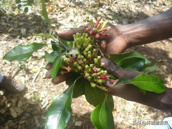 阿曼在阿联酋的飞地,阿曼飞地
