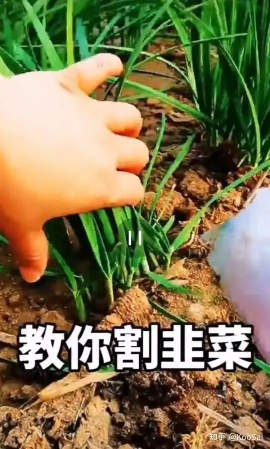 消费降级下的硬性消费,消费降级后生活质量反而提升了