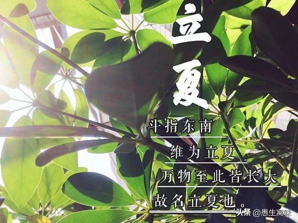 高考是什么时候出成绩,高考是什么感觉