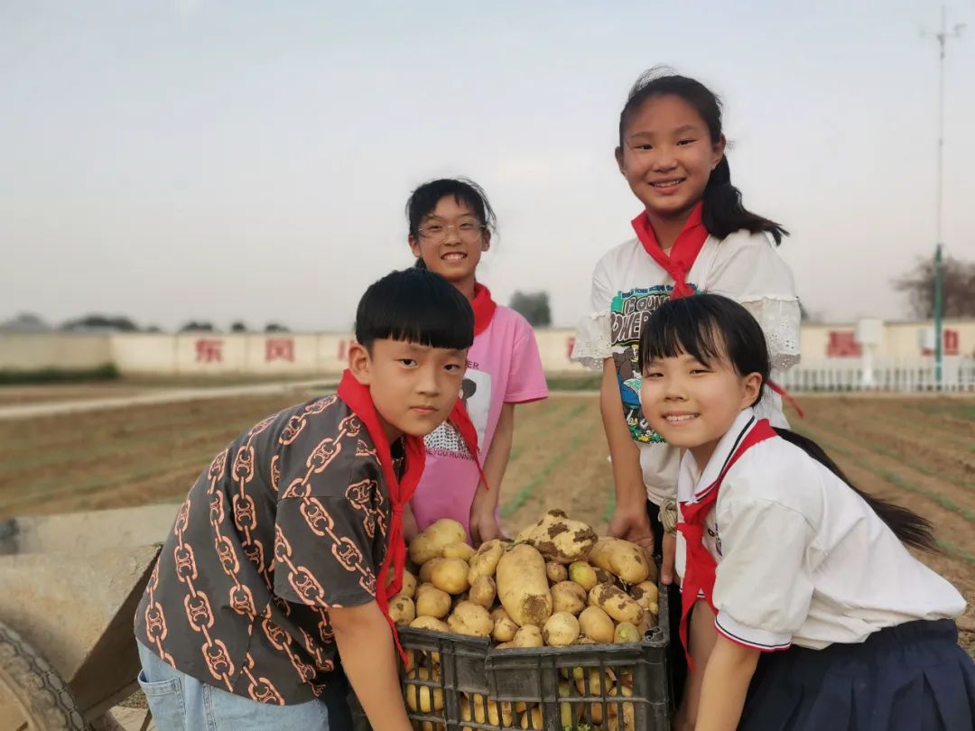 “土”露汗水“豆”耘童年——东风小学劳动教育实践活动之土豆丰收季