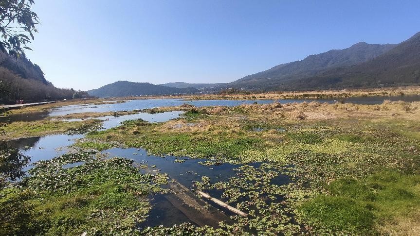 十一月云南旅游攻略腾冲 (从云南腾冲看云南旅游攻略)