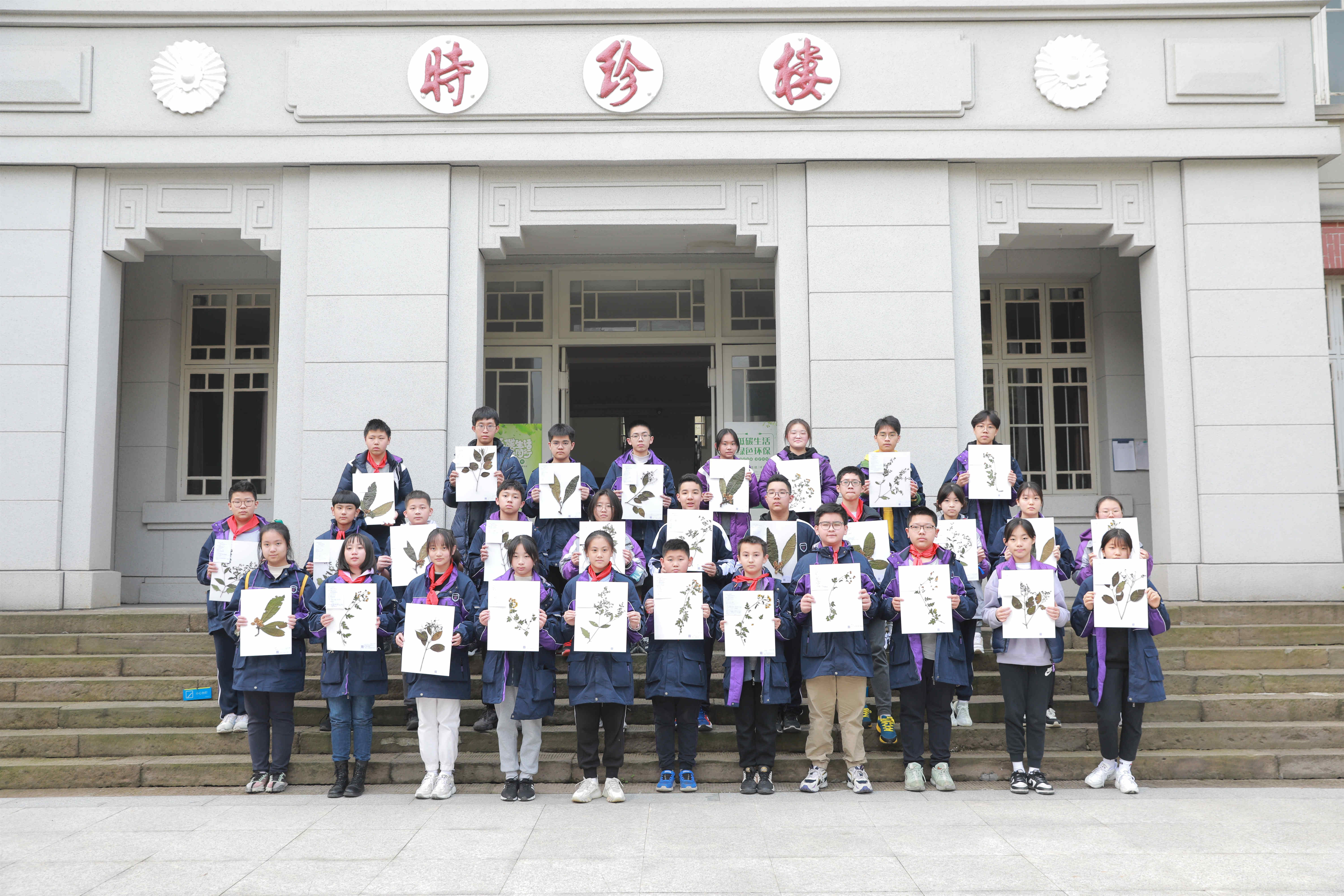 制作中医药材标本的过程,制作中医草药标本