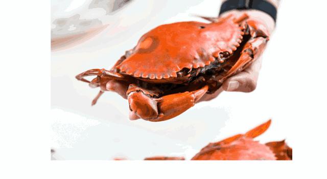 冲野浪、喝咖啡，比三亚便宜一半的海岛度假地，后悔没有早点知道