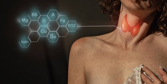 桥本甲状腺炎中医解释,中医对桥本氏甲状腺炎的认识