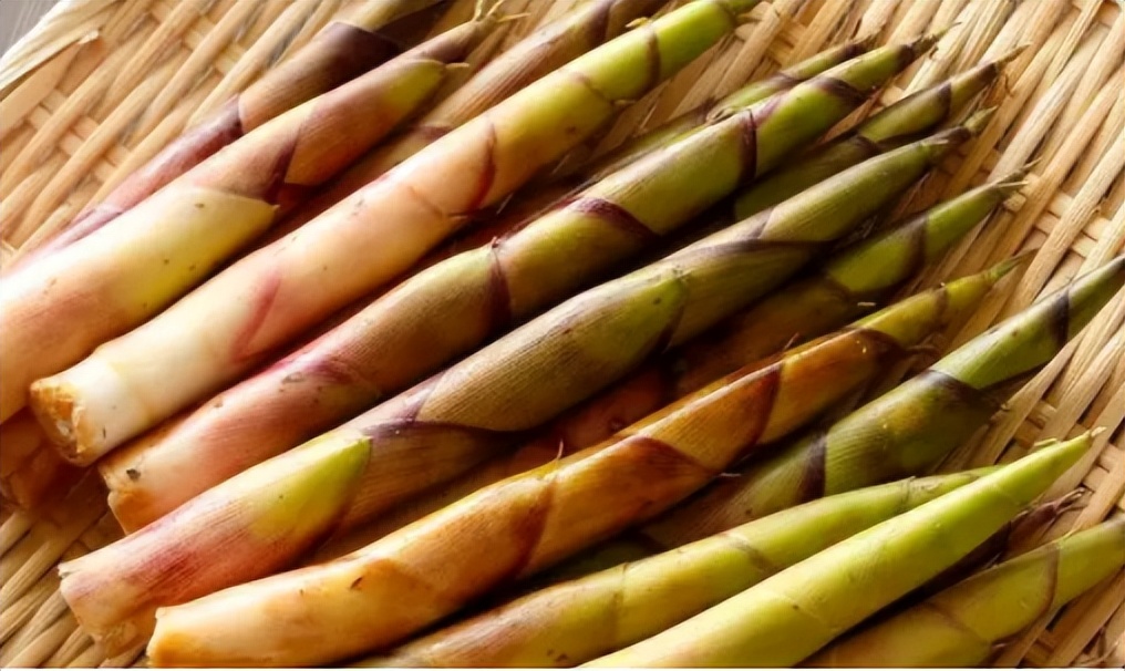 炒出来的笋为什么有点涩口,春笋为什么要焯水才能去除苦涩