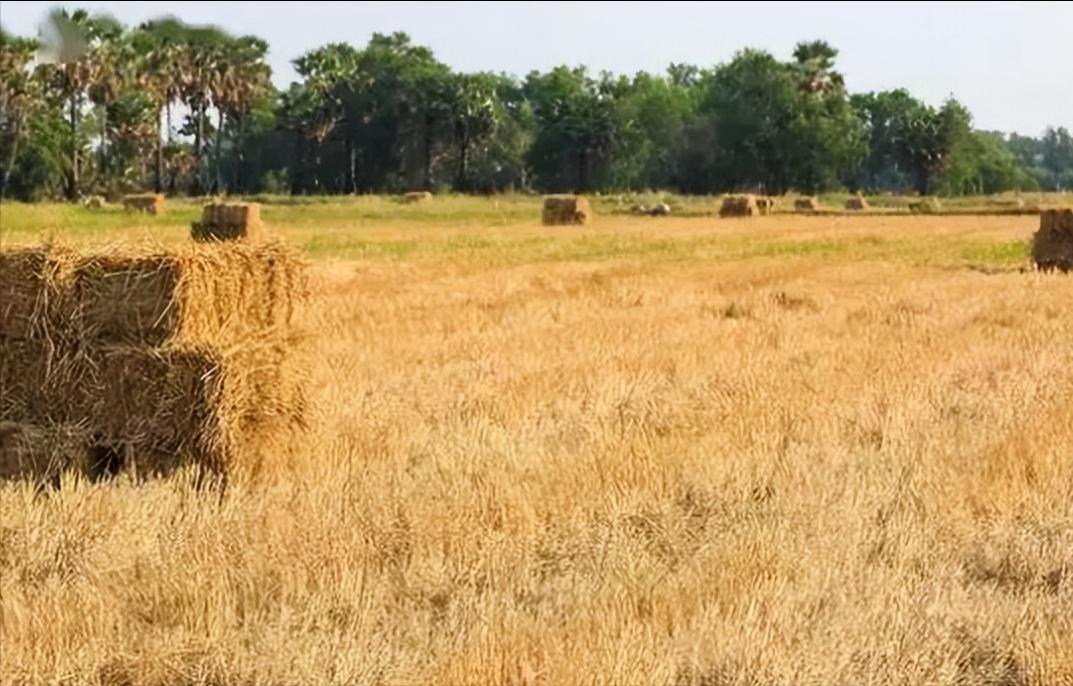 4个不起眼的致富门路是什么,发财致富门路有哪些