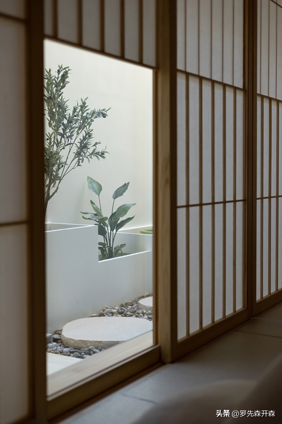 猫猫避难猫窝,猫猫居住小窝