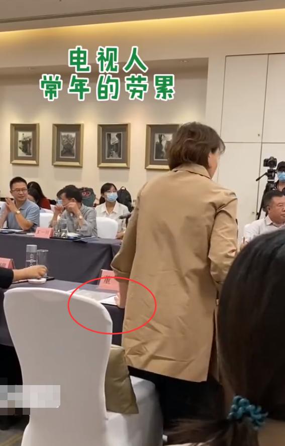 48岁董卿的工作状态也罕见曝光,47岁董卿一出场端庄优雅惊艳众人