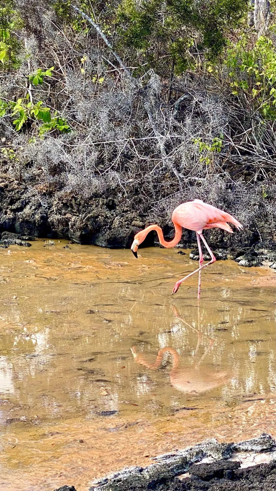 去神秘小岛探险,去神秘岛探险视频