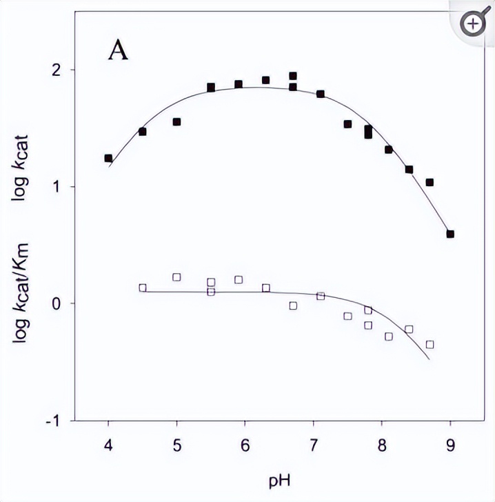 探究砷（III）物质在体外抑制氧化蛋白折叠应用
