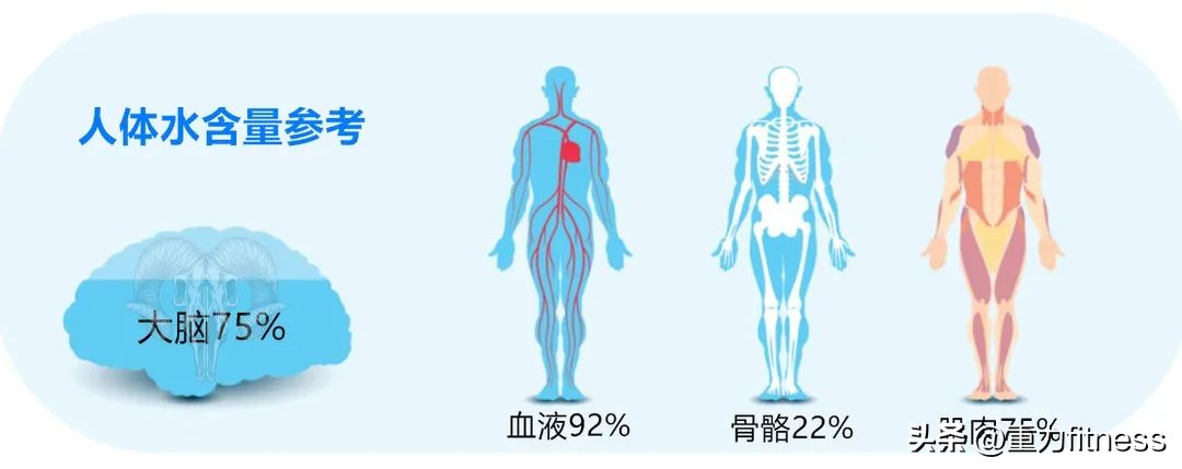 减肥十宗罪十大禁忌,减肥吃太多罪恶的食物怎么办