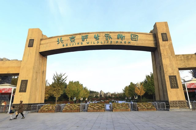 北京大兴第一城,北京大兴繁华地段