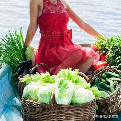 白菜大葱批发价,正宗大葱批发价