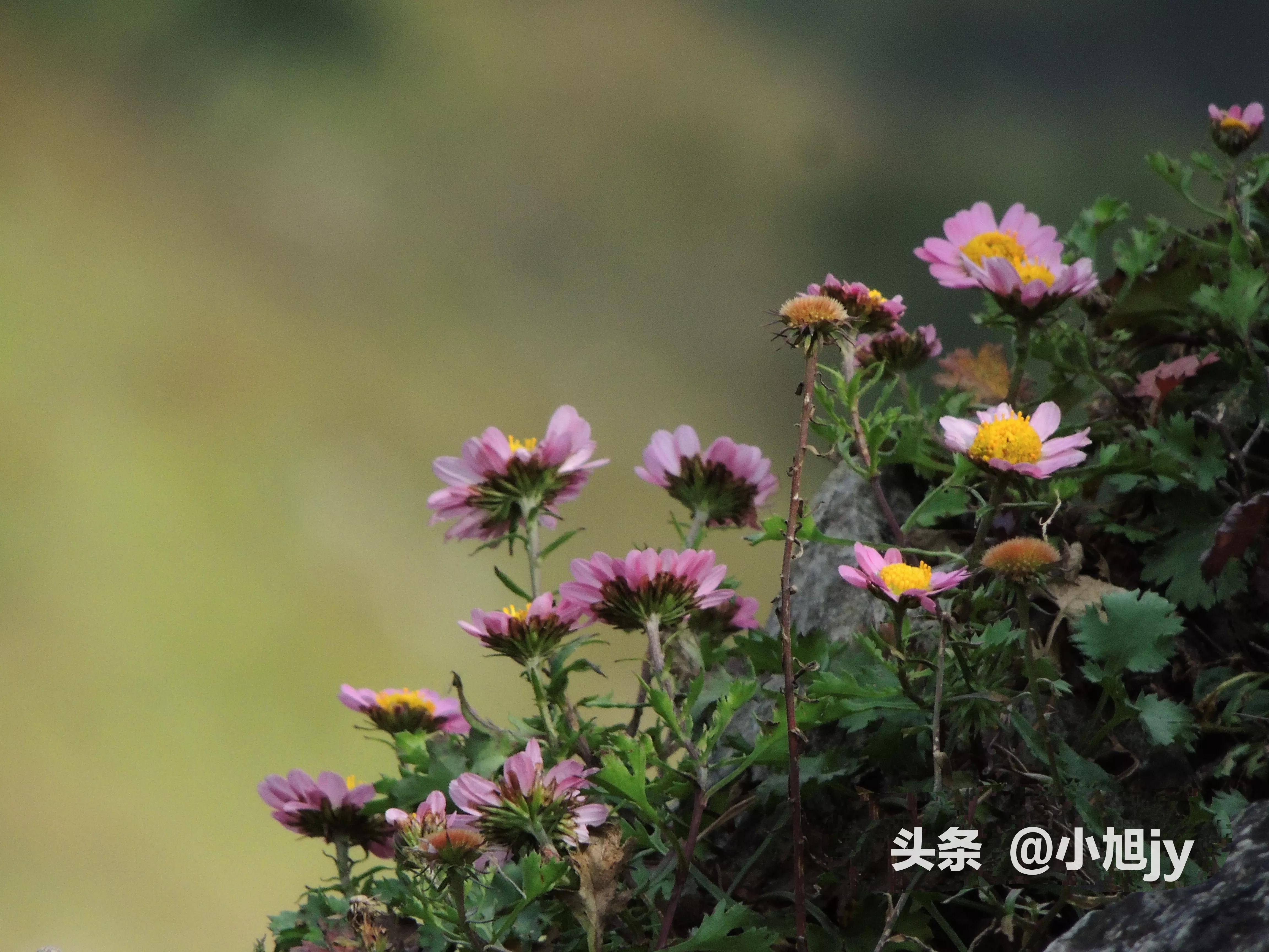 做快递驿站累不累,做个快递驿站员有多辛苦