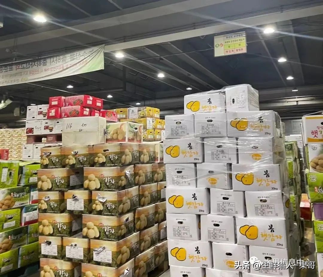 中国十大果蔬批发市场,全国十大蔬果批发市场