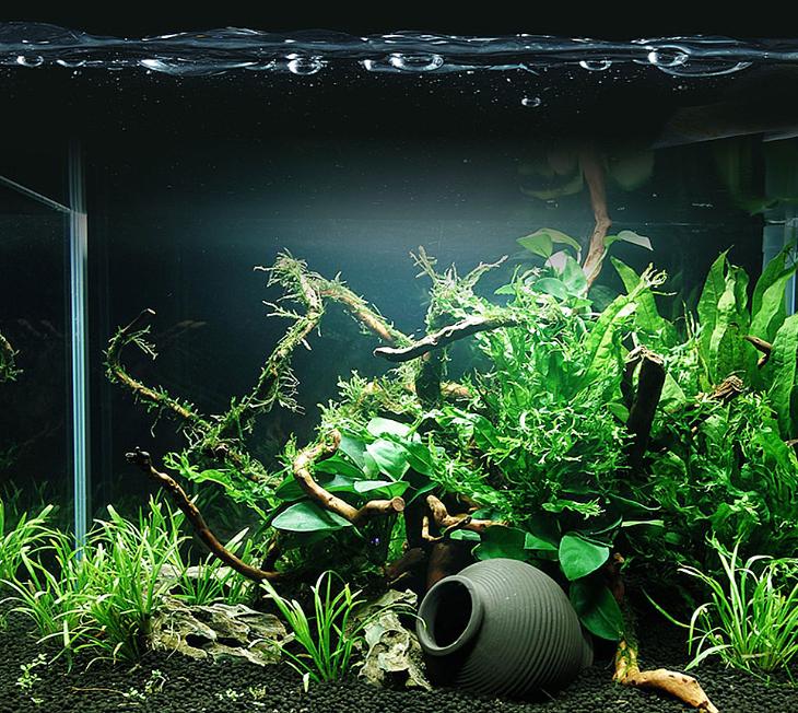 「鱼食制作」金鱼饲料怎么制作金鱼饲料制作方法