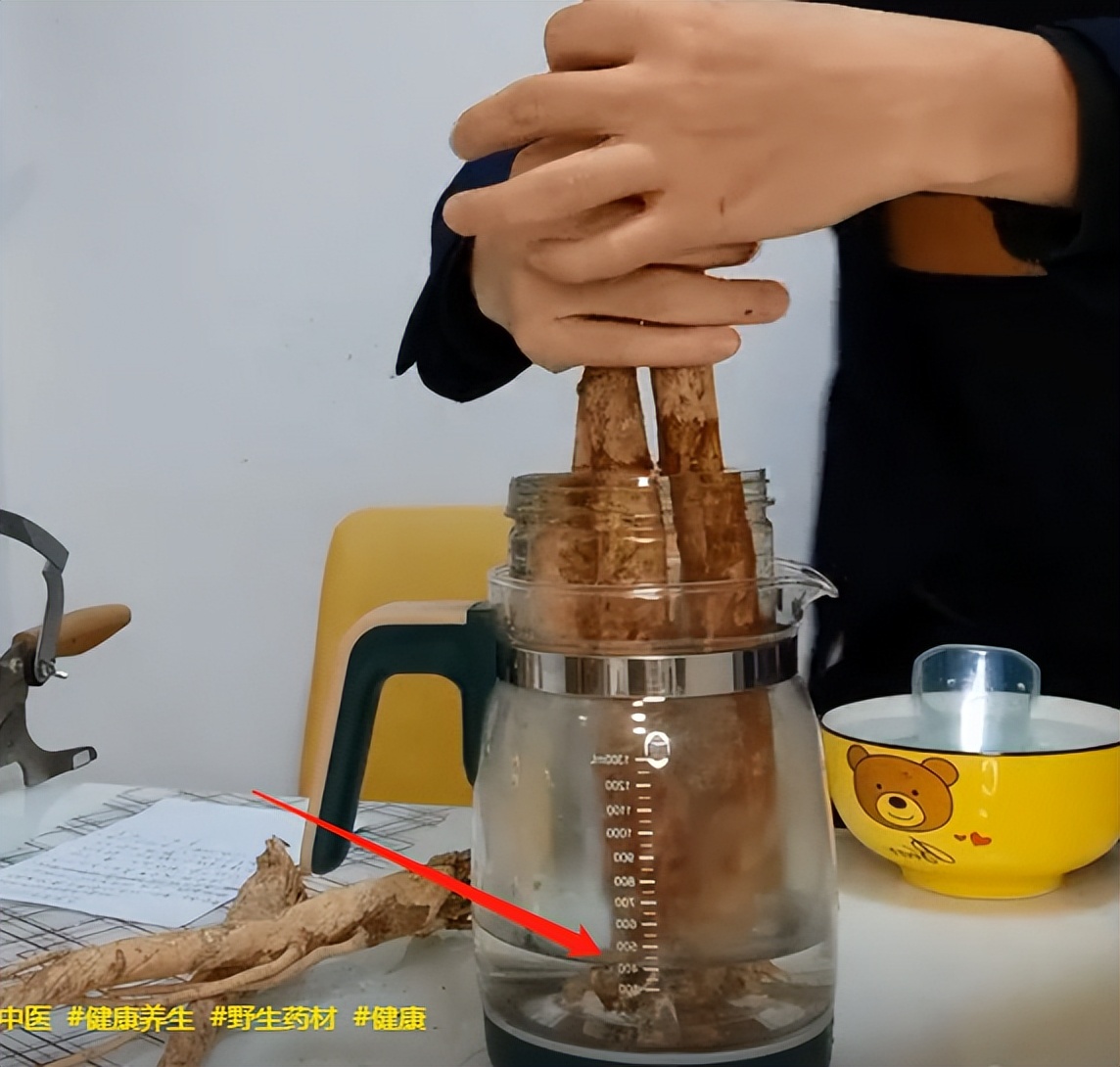 野生黄芪怎样辨别真假好坏,野生黄芪怎么辨别真假