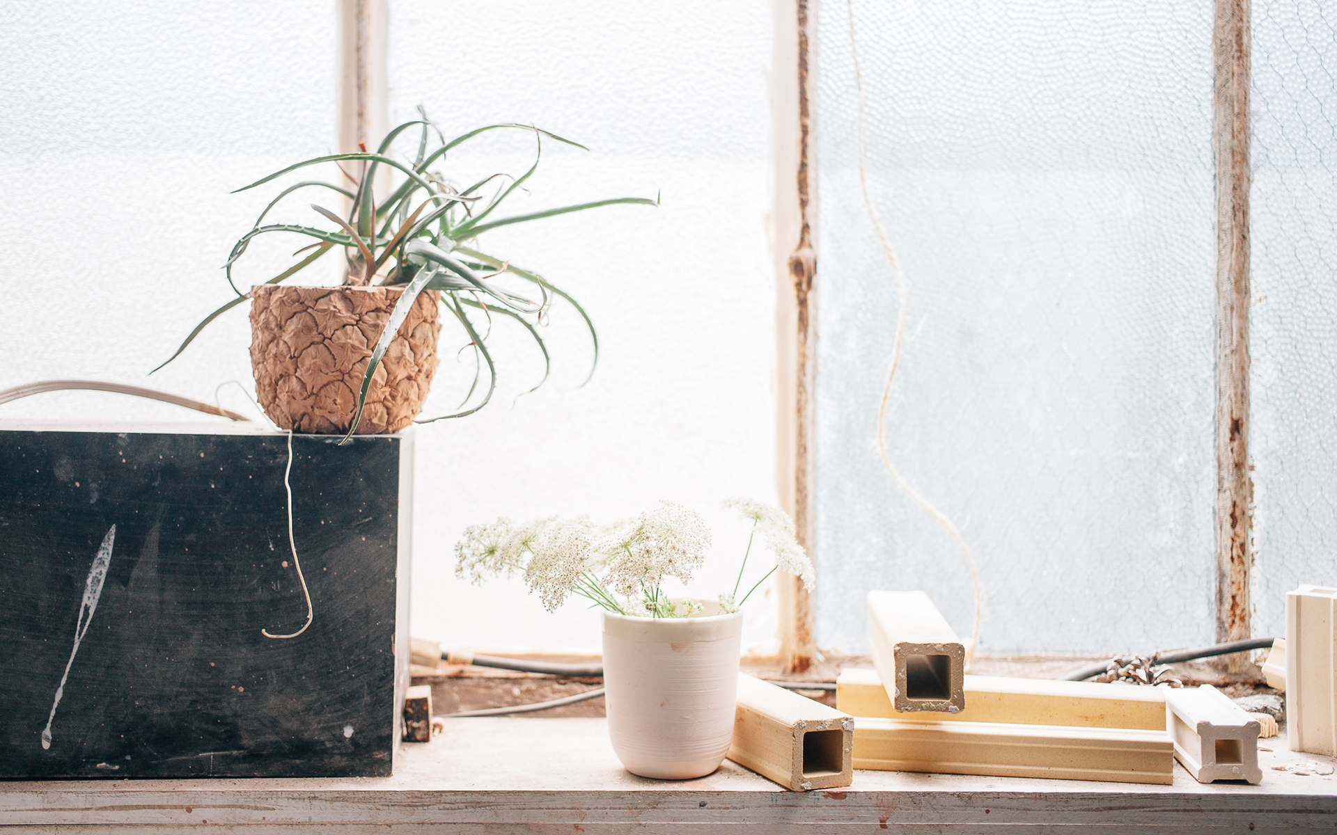 忘不了一个人怎么能忘,忘不了一个人最好的方法