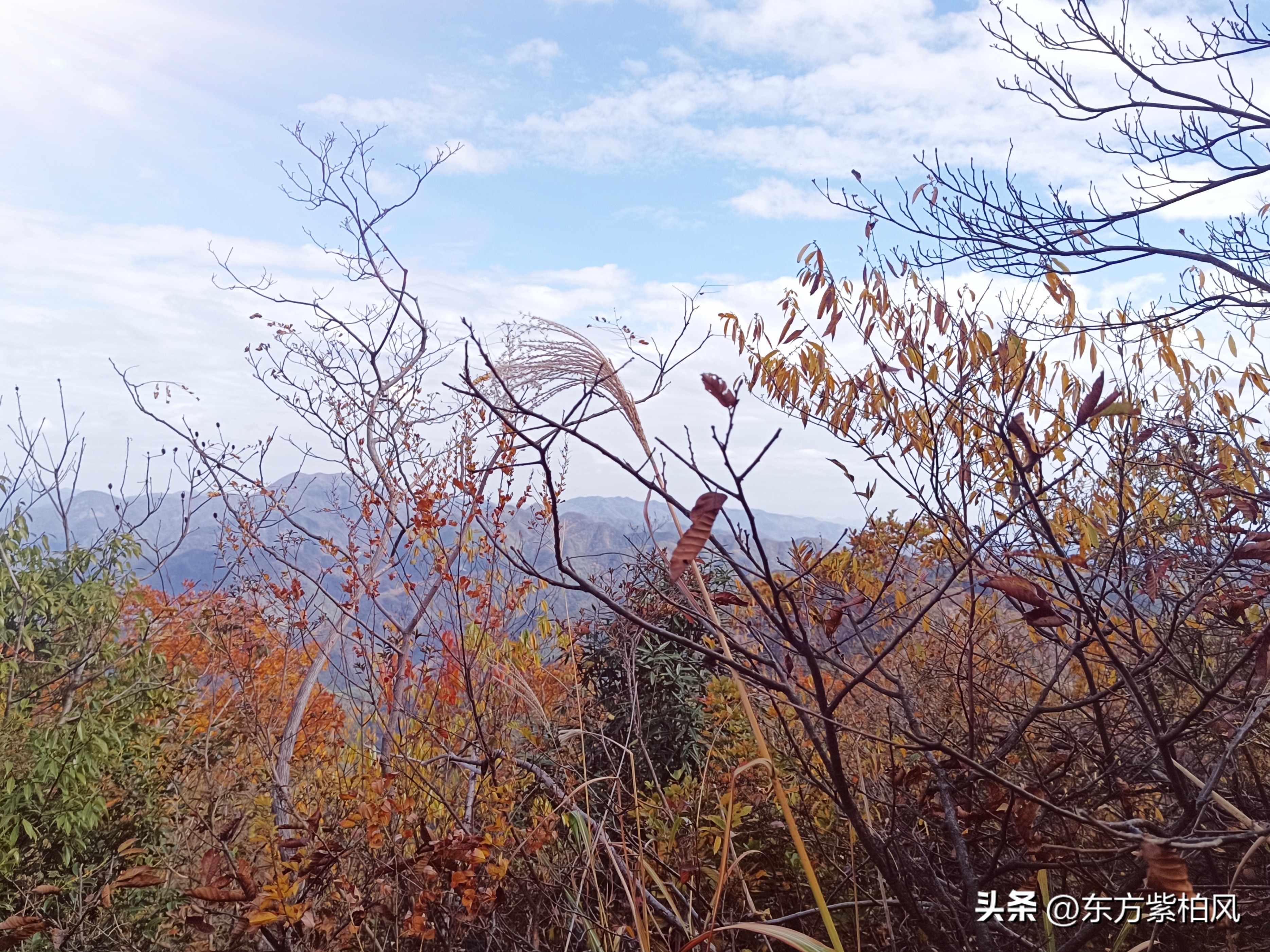 义乌大寒尖春季旅游,义乌大寒尖旅游饮食