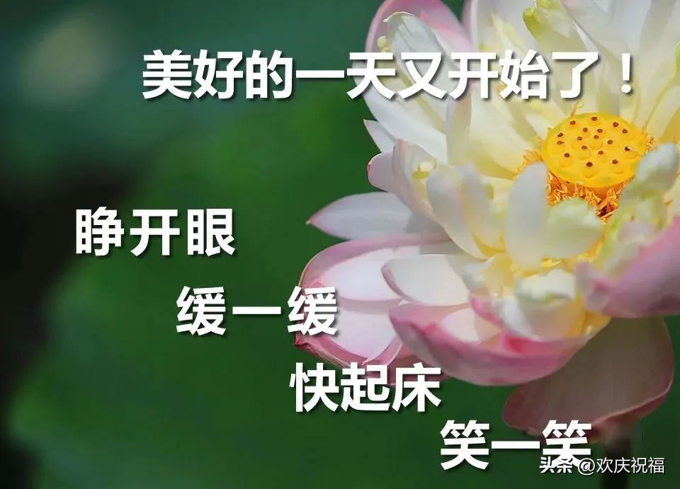 友情问候语早上好图片大全,早上好祝福语图片优美表情