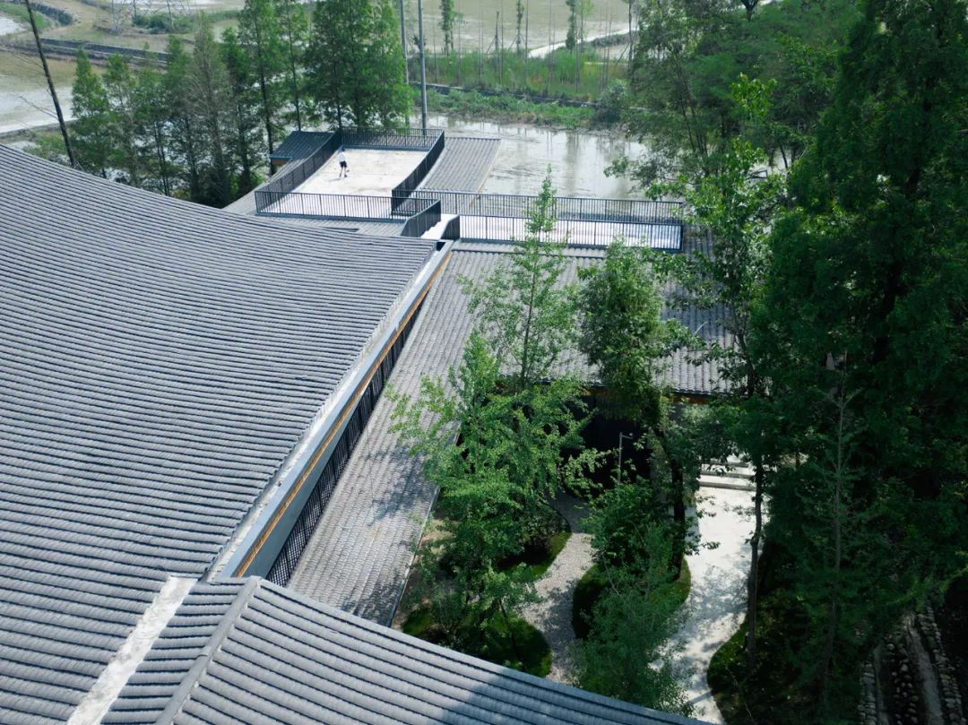 乡村振兴谋划不全不细典型案例,国内外乡村振兴典型代表及案例