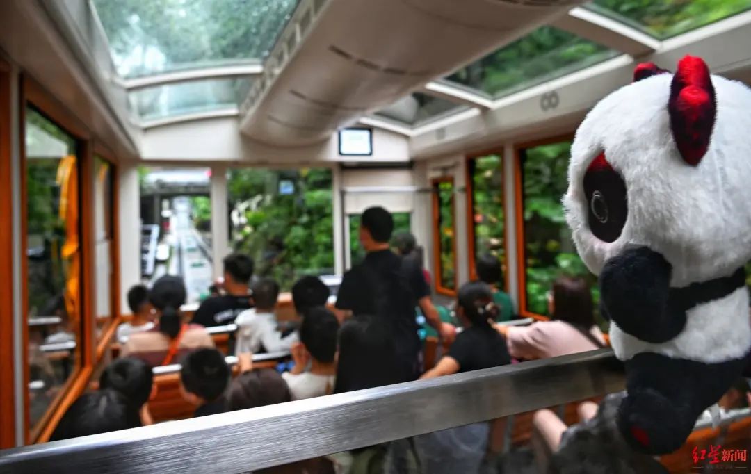 铁铁带你看大运:“特种兵式”打卡!出差的蓉宝去了哪些香港地标?