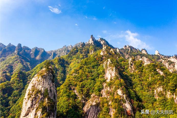 河南景点森林氧吧,河南五地入选中国天然氧吧