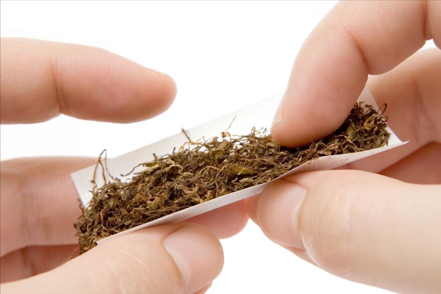 帮狗狗驱除“跳蚤”的几个偏方,真的很有用,快收藏吧